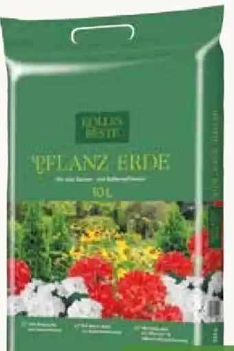 Pflanzen Kölle Kölle's Beste Pflanz-Erde Angebot