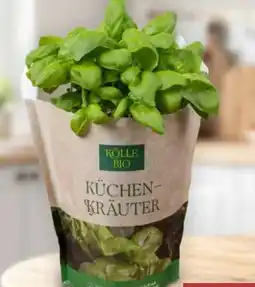 Pflanzen Kölle Kölle's Bio Küchen-Basilikum Angebot