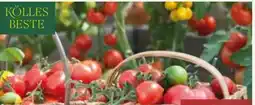 Pflanzen Kölle Kölle's Beste Tomate Angebot