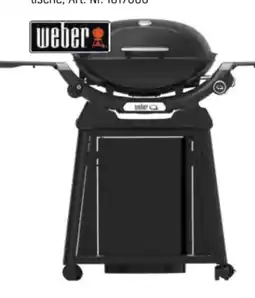 OBI Weber Gasgrill Q2200N Angebot