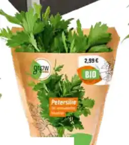 OBI Grow By Obi Bio-Petersilie Angebot