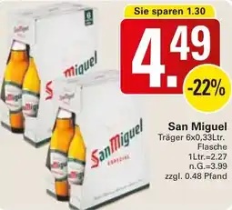 WEZ San Miguel Angebot