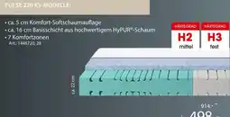 Zurbrüggen Pulse 220 ks-modelle Angebot