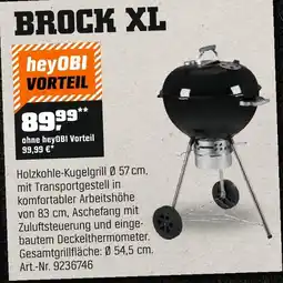 OBI Brock xl Angebot