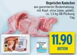 diska Ungarisches Kaninchen Angebot