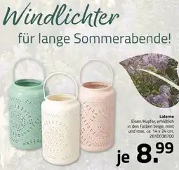 ROLLER Laterne Angebot