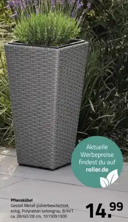 ROLLER Pflanzkübel Angebot