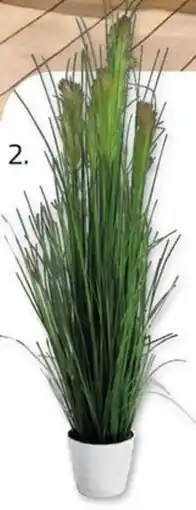 ROLLER Kunstpflanze Angebot