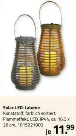 ROLLER Solar-LED-Laterne Angebot