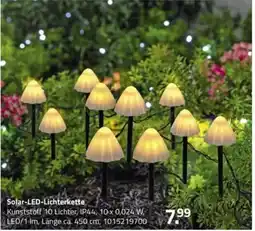 ROLLER Solar-LED-Lichterkette Angebot