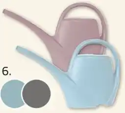 ROLLER Giesskanne Angebot