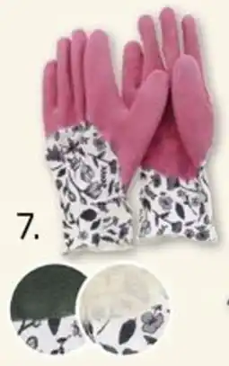 ROLLER Gartenhandschuhe Angebot