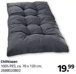 ROLLER Chillkissen Angebot
