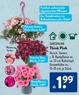 Aldi Süd GARDENLINE Think Pink Angebot