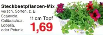 Jawoll Steckbeetpflanzen-Mix Angebot
