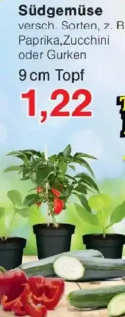 Jawoll Südgemüse Angebot