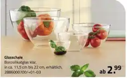 ROLLER Glasschale Angebot