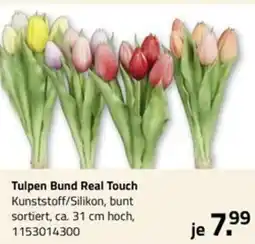 ROLLER Tulpen Bund Real Touch Angebot