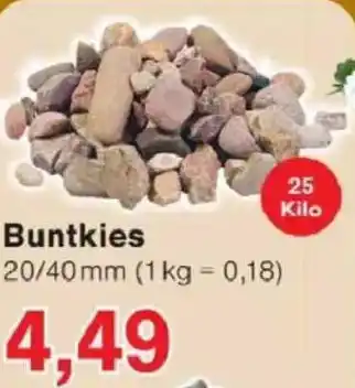 Jawoll Buntkies Angebot
