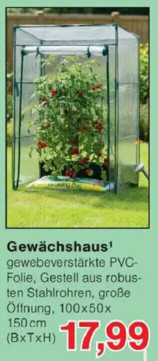Gewächshaus¹ Angebot bei Jawoll