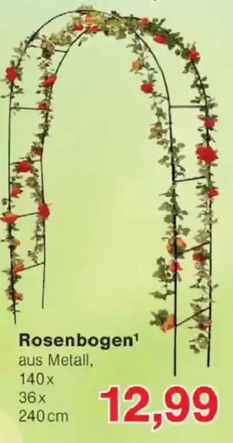 Jawoll Rosenbogen Angebot