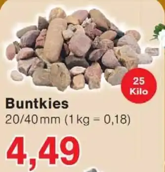 Wiglo Wunderland Buntkies Angebot