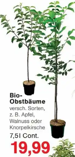 Wiglo Wunderland Bio- Obstbäume Angebot