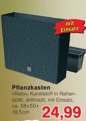 Wiglo Wunderland Pflanzkasten Angebot