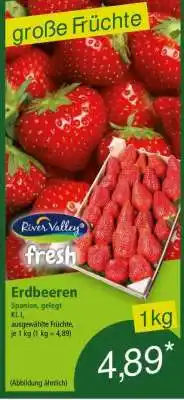 Norma Erdbeeren Angebot