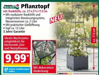 Pflanztopf Angebot bei Norma