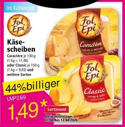 Norma Käsescheiben Angebot