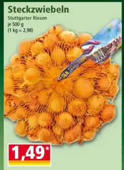 Norma Steckzwiebeln Angebot