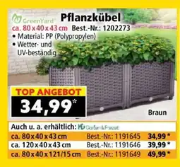 Norma Pflanzkübel Angebot