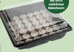 Thomas Philipps Anzucht Gewächshaus Angebot