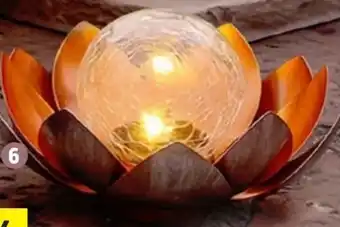 Thomas Philipps LED Solar Lotusblume Angebot
