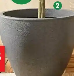 Thomas Philipps Pflanzkübel Stone Angebot