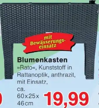 Wiglo Wunderland Blumenkasten Angebot