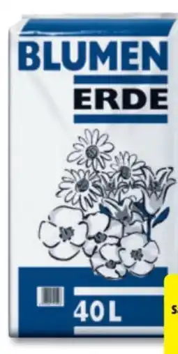 Hagebau Blumen Erde Angebot