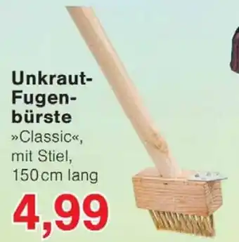 Wiglo Wunderland Unkraut- Fugenbürste Angebot