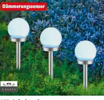 Hagebau Casaya LED-Solarkugel Marla Mini Angebot