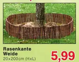 Wiglo Wunderland Rasenkante Weide 20x200cm (HxL) Angebot