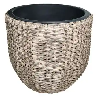 toom Baumarkt Pflanzkorb Marielle Angebot