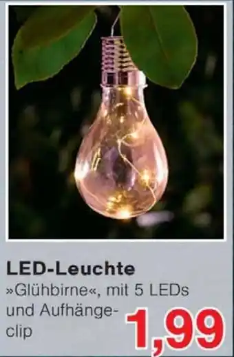 Wiglo Wunderland LED-Leuchte Angebot