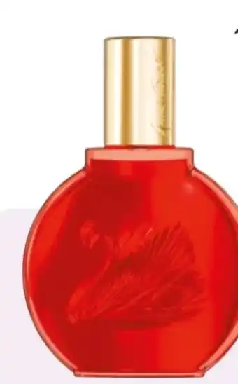 Rossmann Gloria Vanderbilt Red Damen EdP Angebot