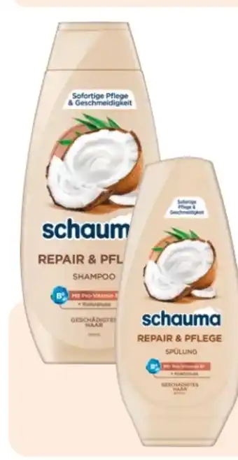 Rossmann Schwarzkopf Schauma Shampoo Angebot