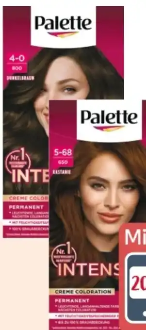 Rossmann Poly Palette Intensiv Creme Coloration Angebot