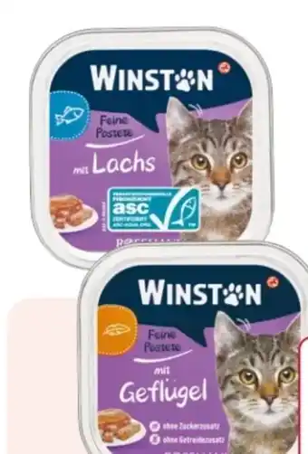 Rossmann Winston Katzen Feine Pastete Angebot
