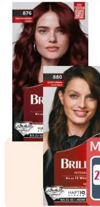 Rossmann Schwarzkopf Brillance Coloration Angebot