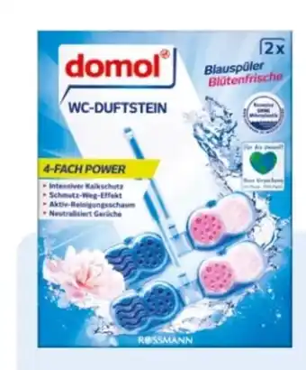 Rossmann Domol WC-Duftsteine Angebot