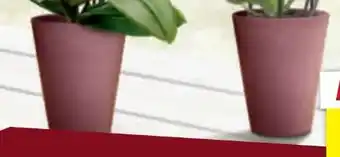 toom Baumarkt Übertopf Calypso Angebot